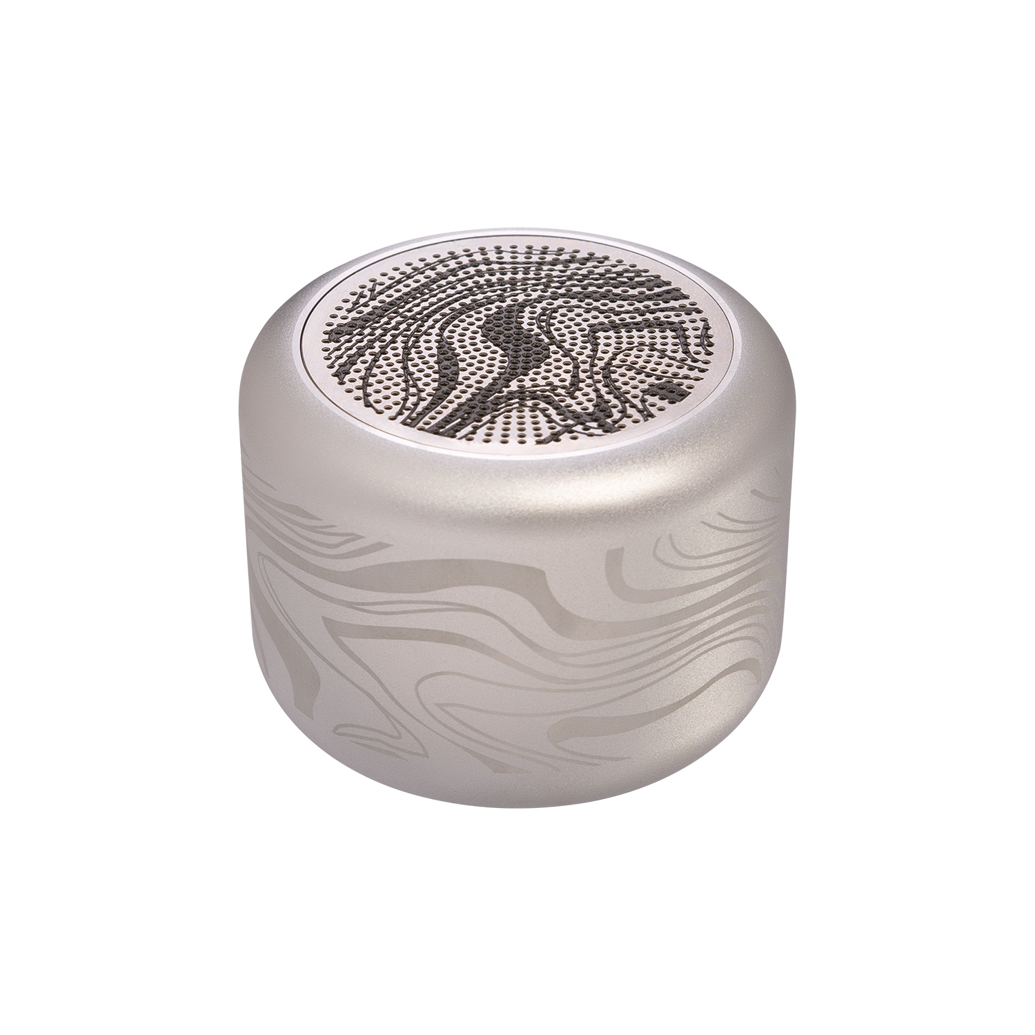 Беспроводная колонка Passion 80dB 600 mAh (Bluetooth 5.0), серебряная-10