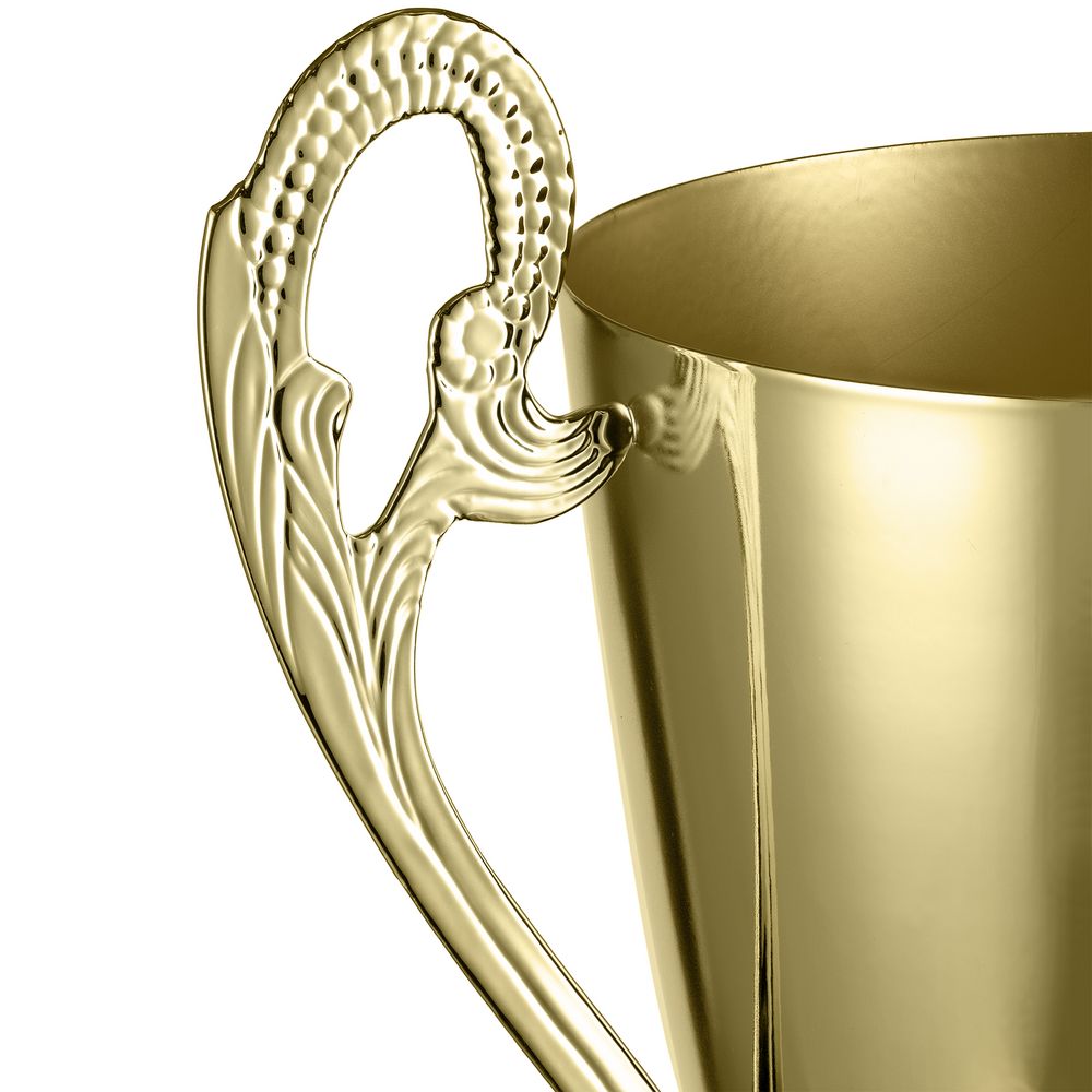 Кубок Guildford, золотистый-3