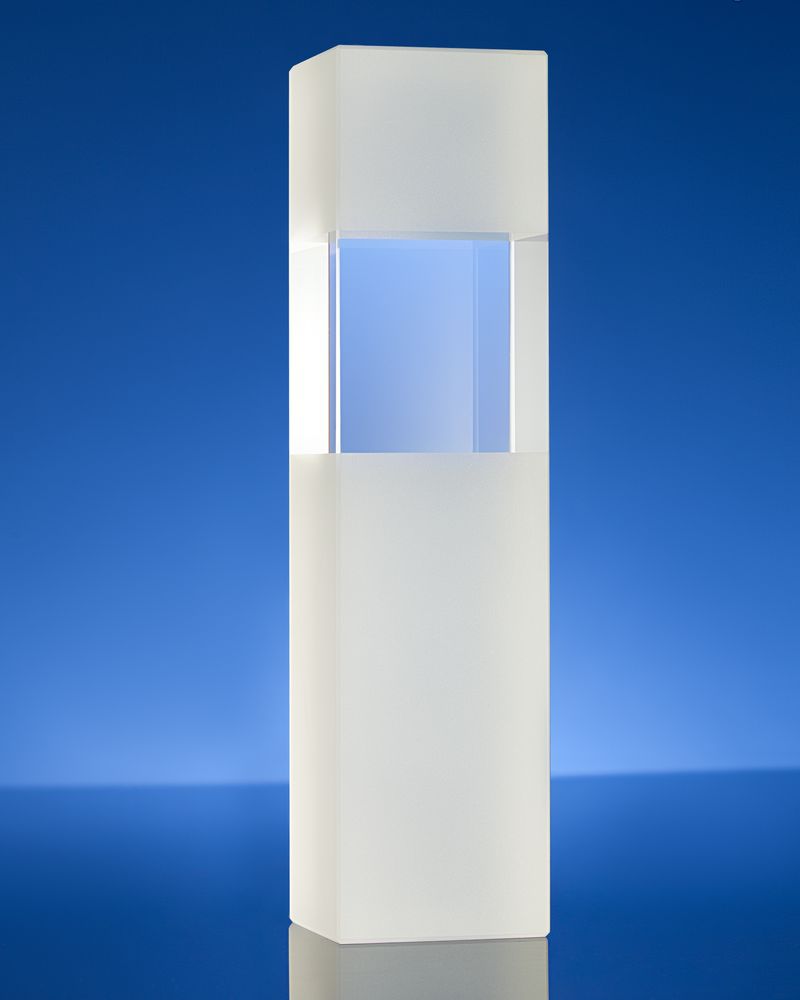 Награда Willpower, в подарочной коробке-1