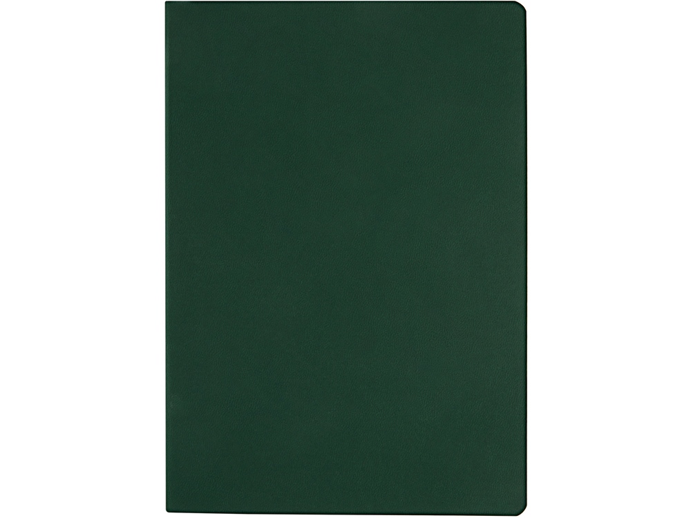 Ежедневник недатированный А5 Megapolis Color Flex, темно-зеленый-3
