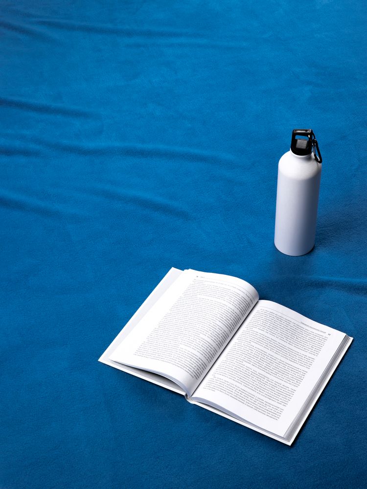 Дорожный плед Voyager 2, ярко-синий-2