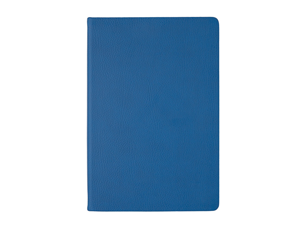 Ежедневник А5 датированный Megapolis Nappa на 2026, синий-3