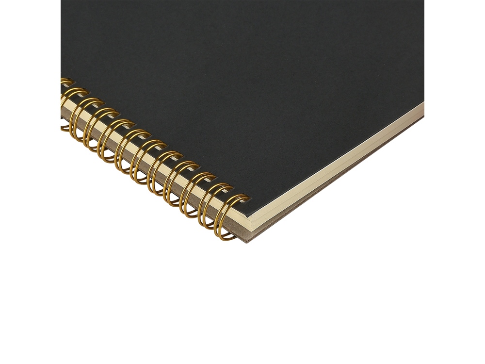 Бизнес тетрадь на гребне А5 Pragmatic, 60 листов в клетку, черный-2