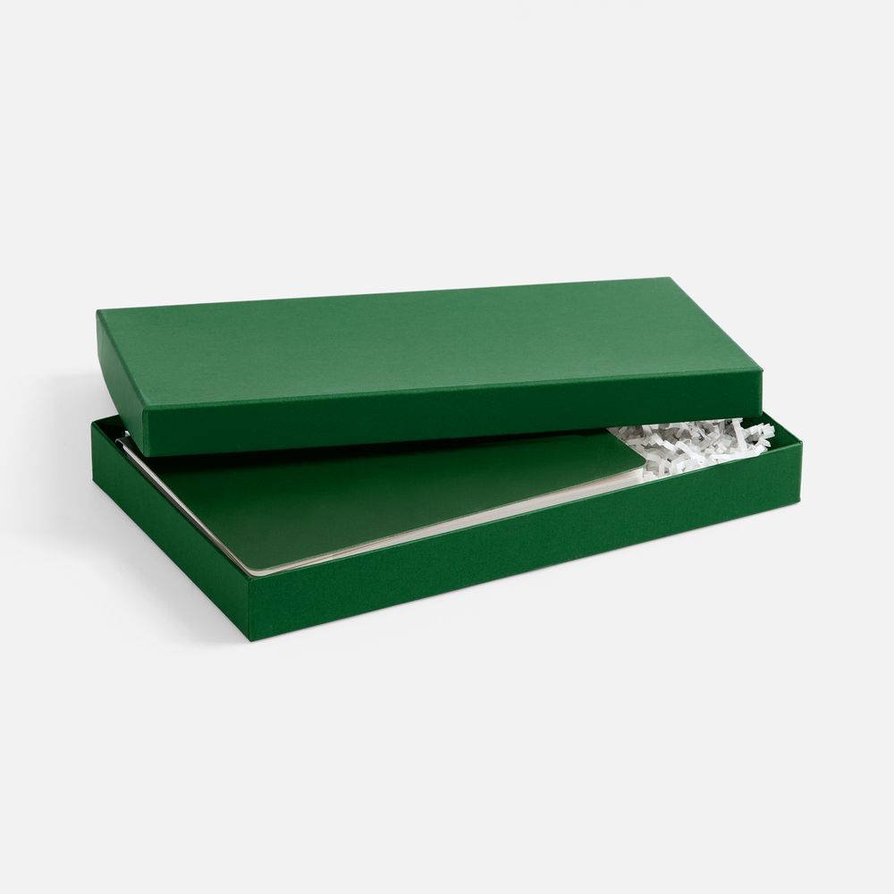 Коробка Horizon, зеленая-1