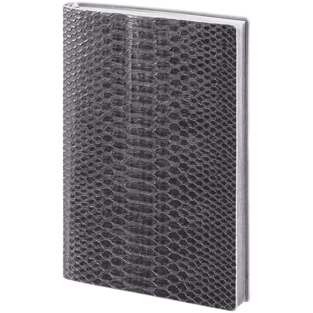 Ежедневник Anaconda, недатированный, серебристый-2