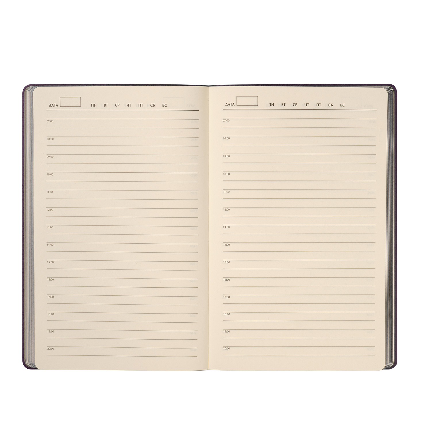 Ежедневник Rain недатированный, фиолетовый-9