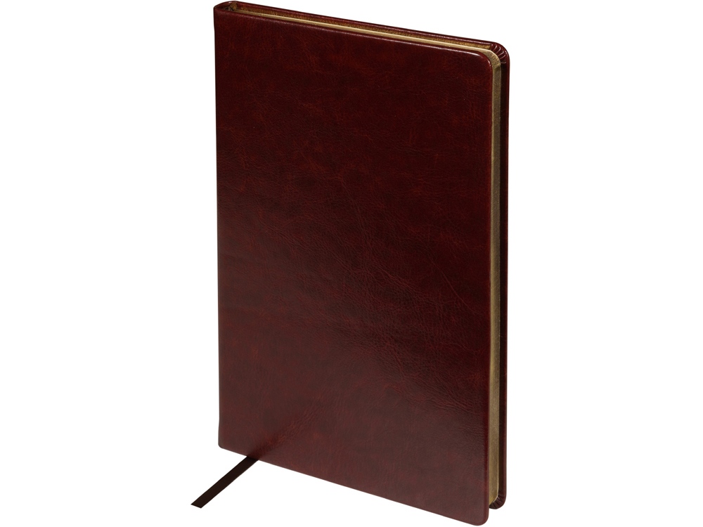 Ежедневник недатированный А5 Megapolis Nebraska, коричневый с золотым обрезом-0