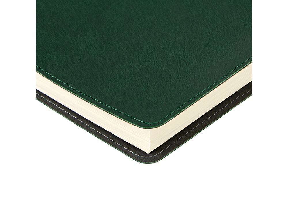 Ежедневник А5 Tintoretto, зеленый-2