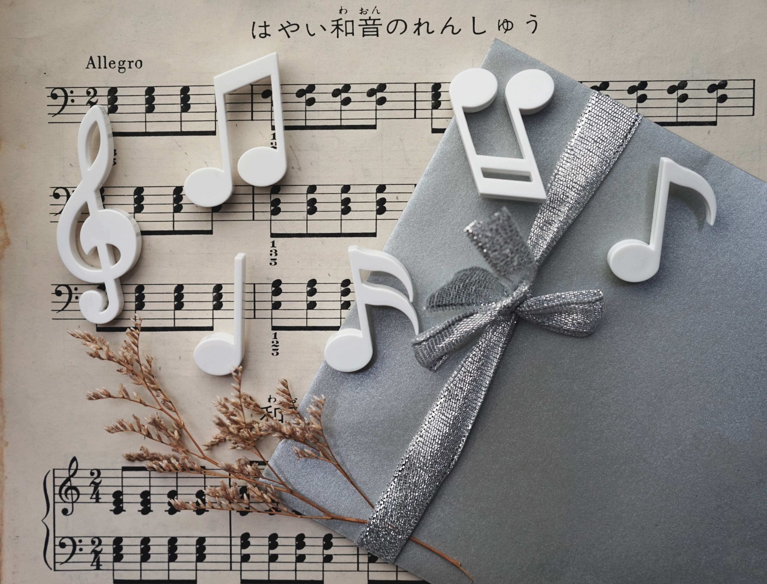 МАГНИТЫ MEMODY MAGNET (6 ШТ. / УПАК.), Белый-3