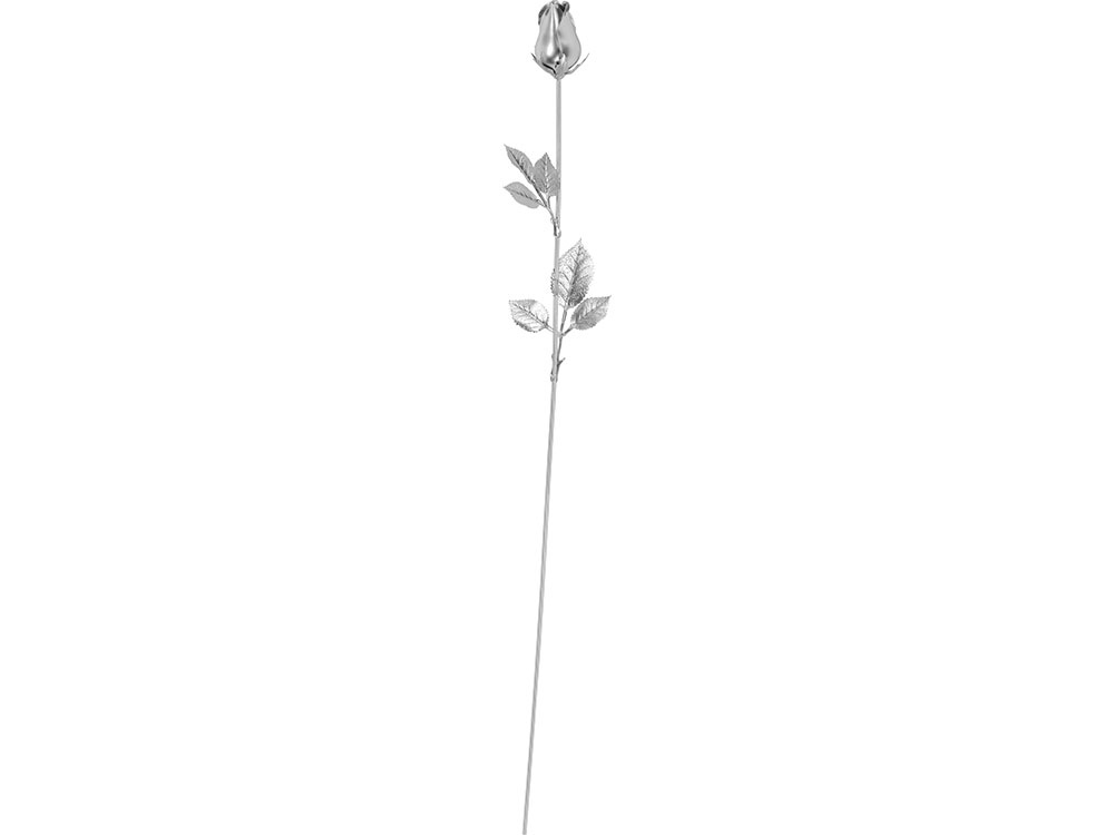 Роза с серебряным бутоном-0