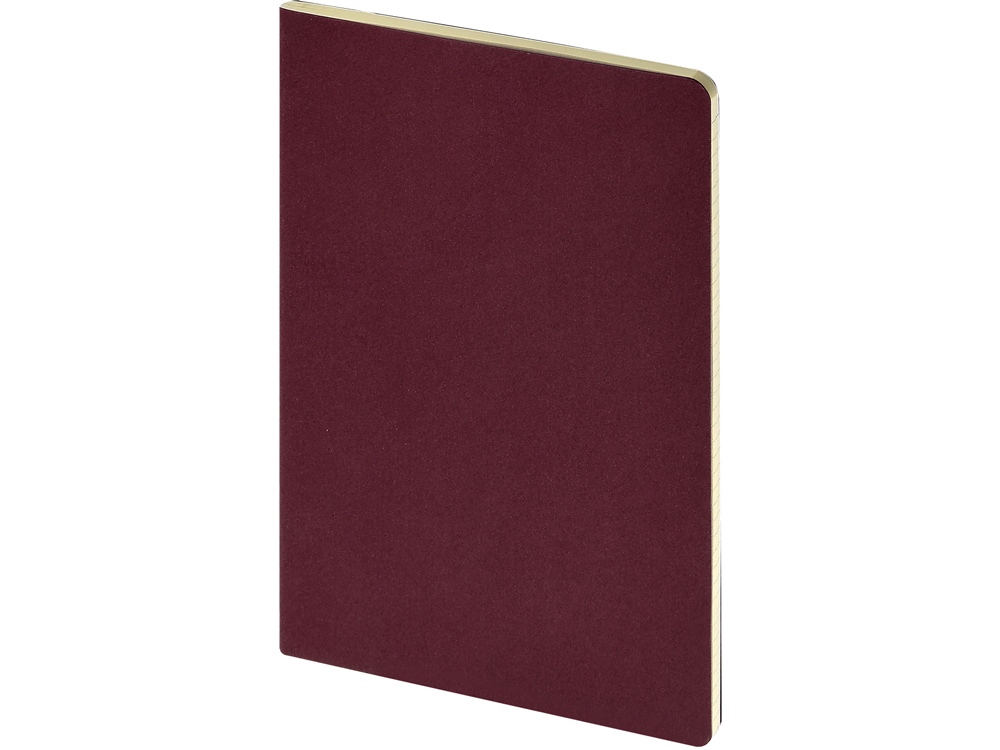 Бизнес тетрадь А5 Pragmatic, 40 листов в клетку, бордовый-0