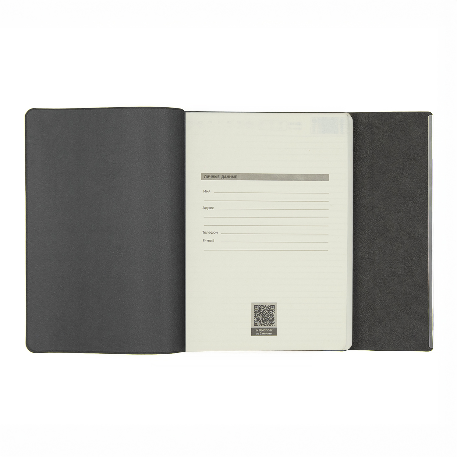 Ежедневник Bplanner.03 pro (серый)-4