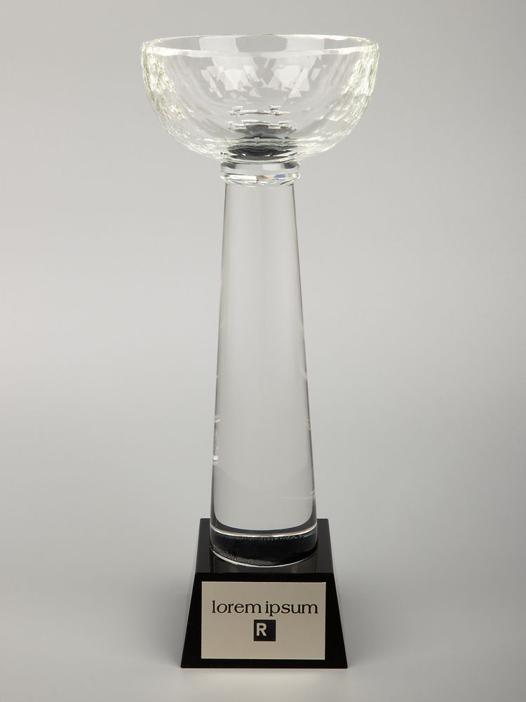 Кубок Cupture, большой-2