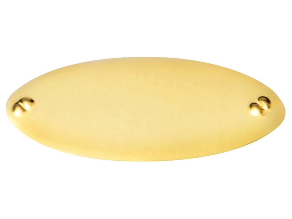 Шильд золотистый-1