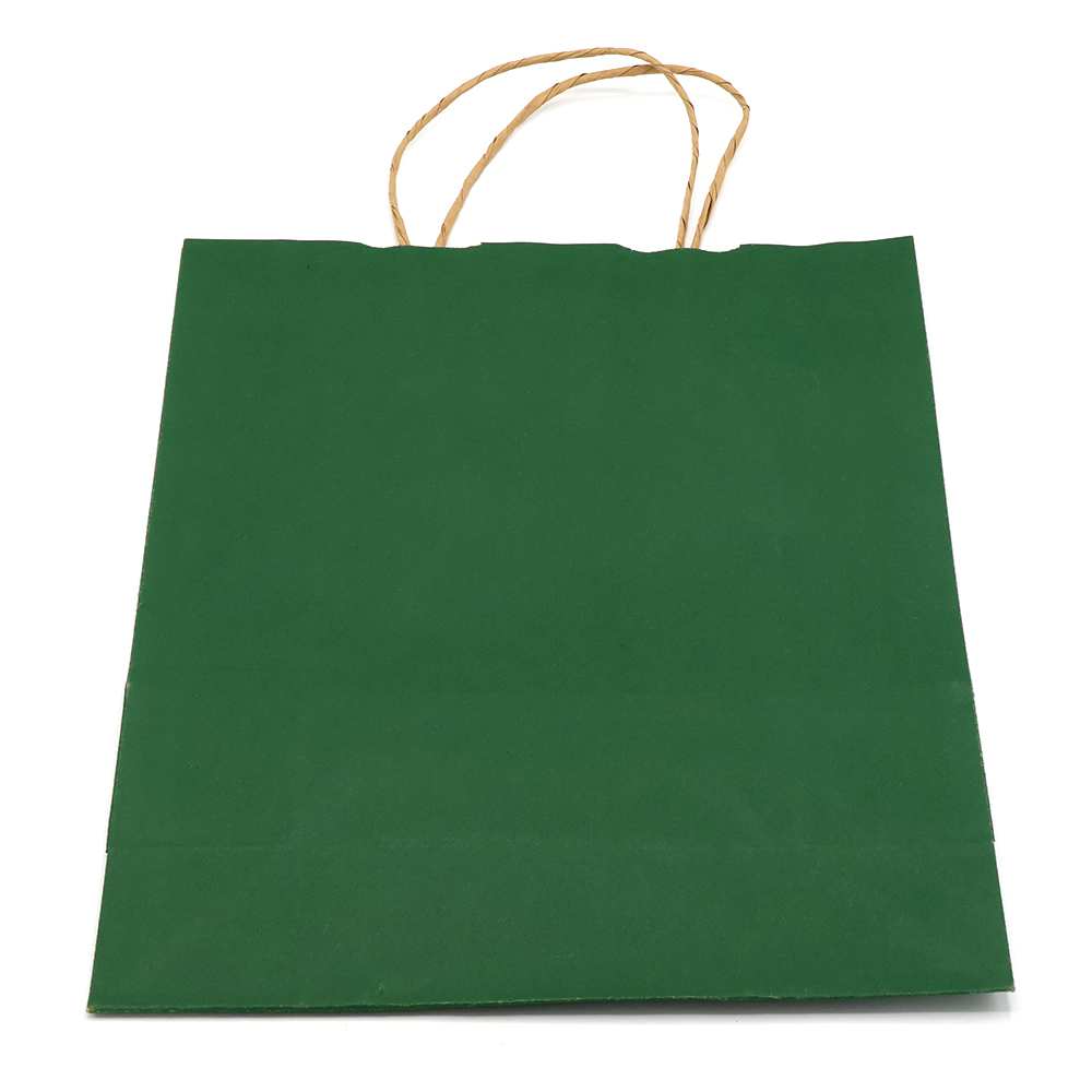 Пакет бумажный ARCE, Папоротниковый-1