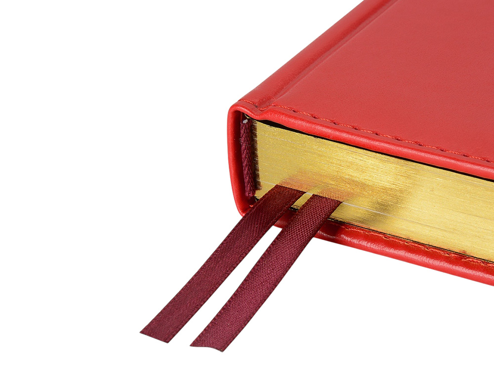 Ежедневник недатированный А5 Parliament, красный-3