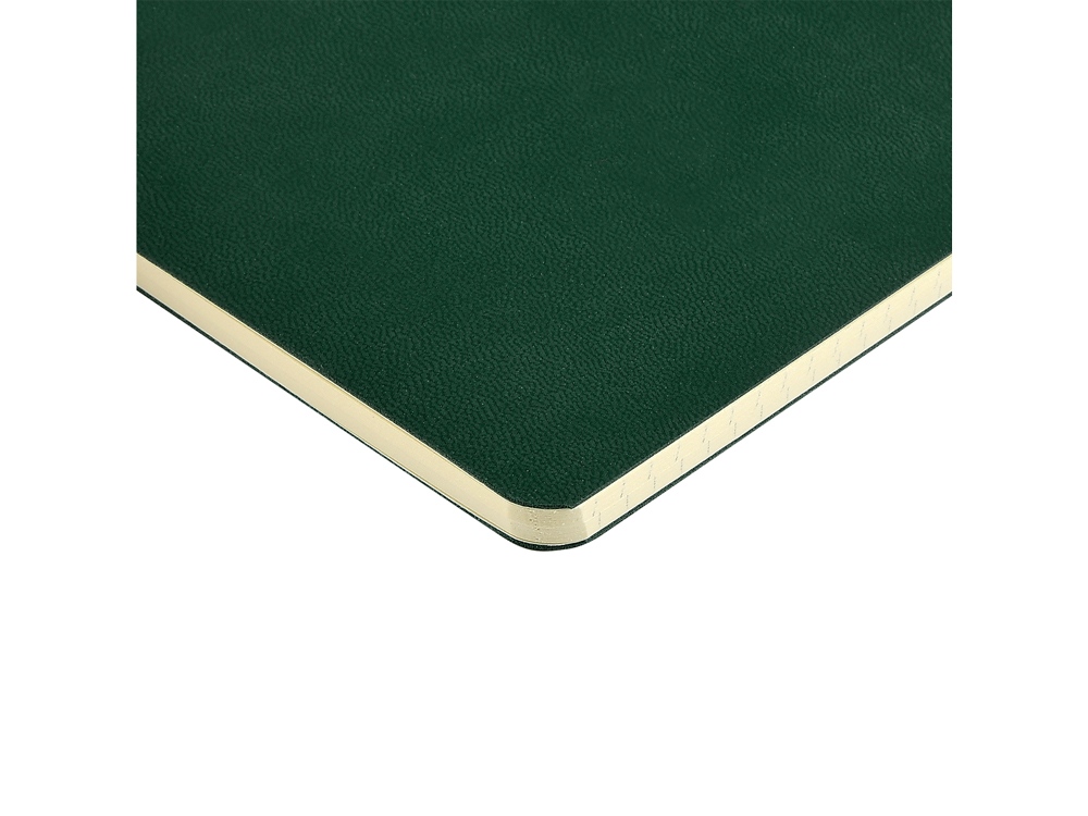 Бизнес тетрадь А5 Megapolis flex 60 л. soft touch клетка, зеленый-2