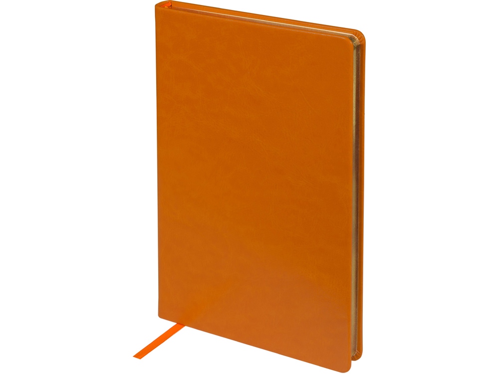 Ежедневник недатированный А5 Megapolis Nebraska, оранжевый с золотым обрезом-0