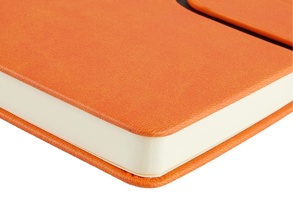 Ежедневник недатированный А5 Status, оранжевый-4