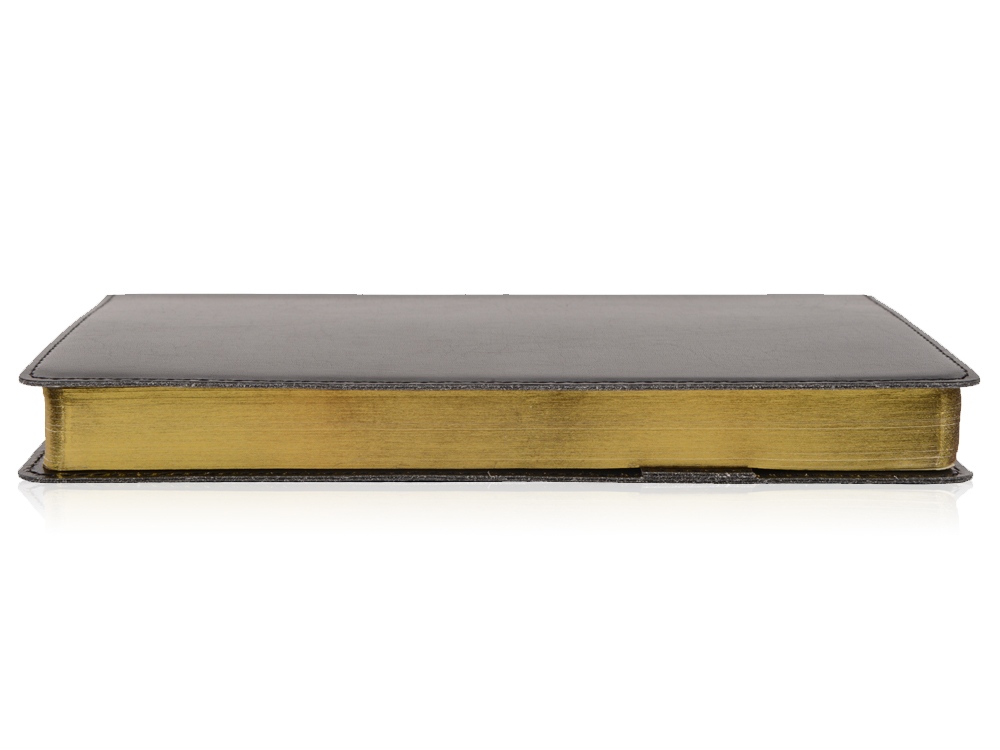 Ежедневник полудатированный портфолио А5  PROFY черный-7