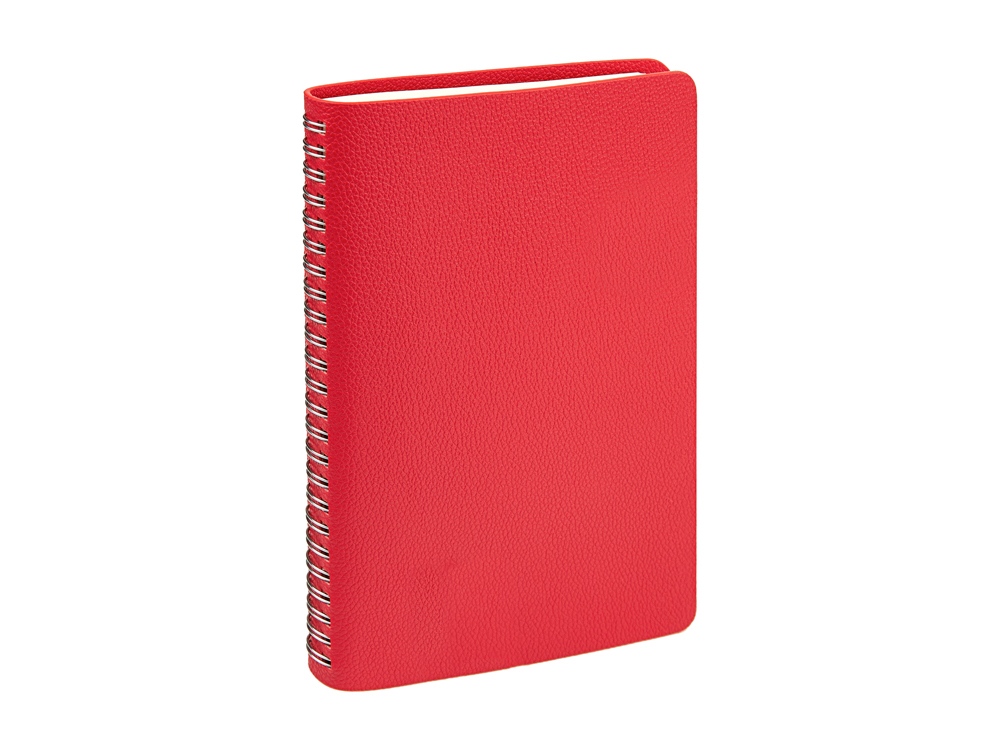 Ежедневник недатированный А5 Alba, красный-2