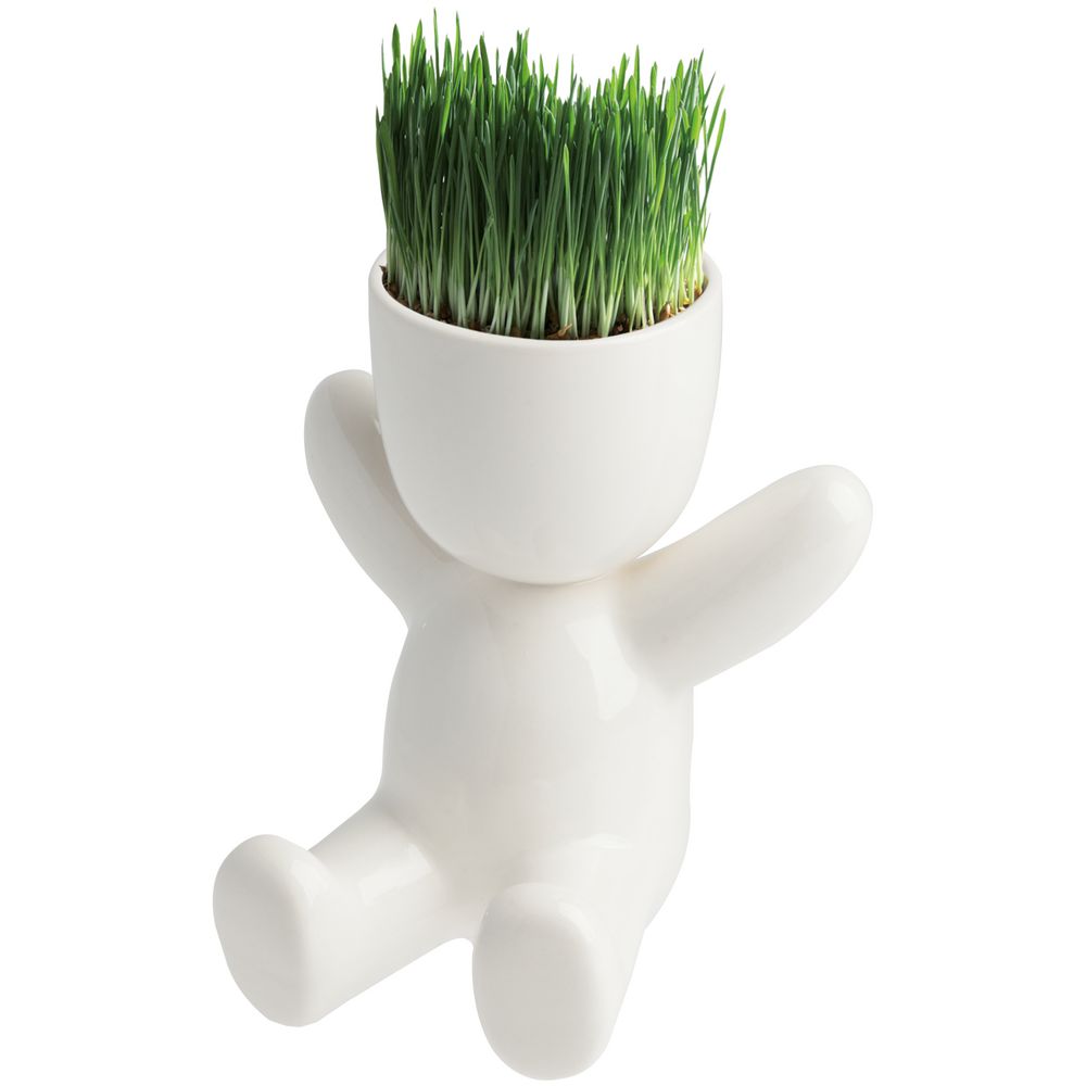 Набор для выращивания Funky Kid-1