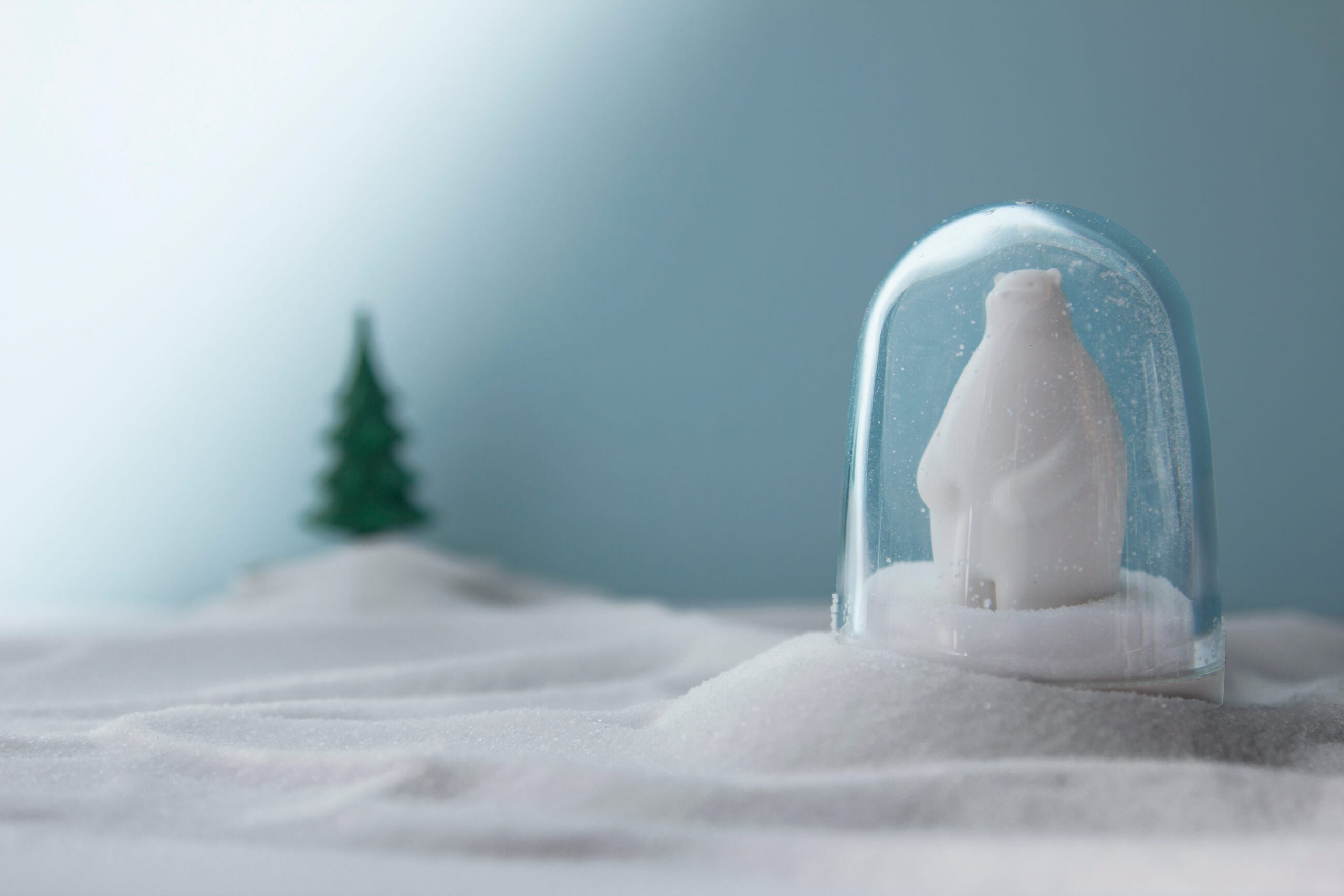 Ёмкости для специй в наборе Animal Parade, Белый-2