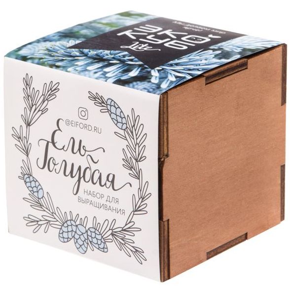 Набор для выращивания «Экокуб Lite», ель голубая-1
