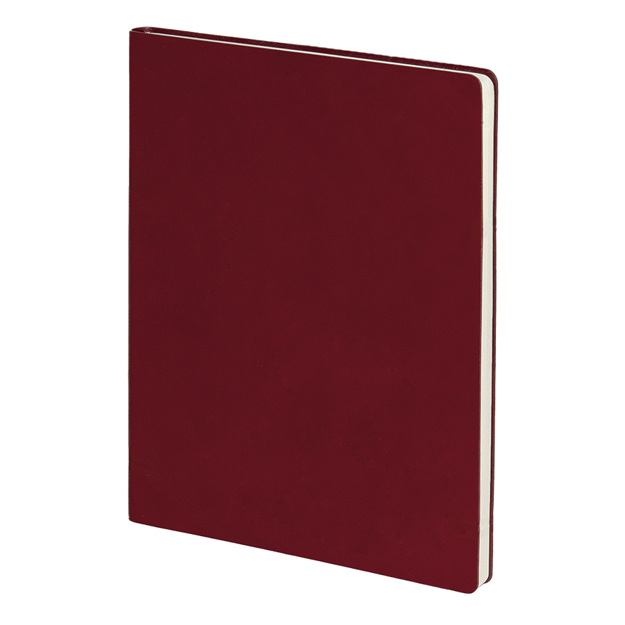 Бизнес-блокнот BIGGY, формат B5,  в клетку, бордовый-0