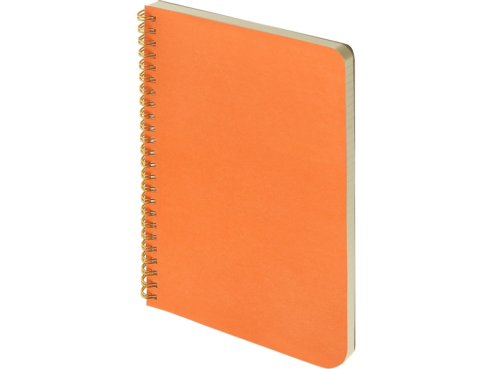 Бизнес тетрадь на гребне А5 Pragmatic, 60 листов в клетку, оранжевый-0