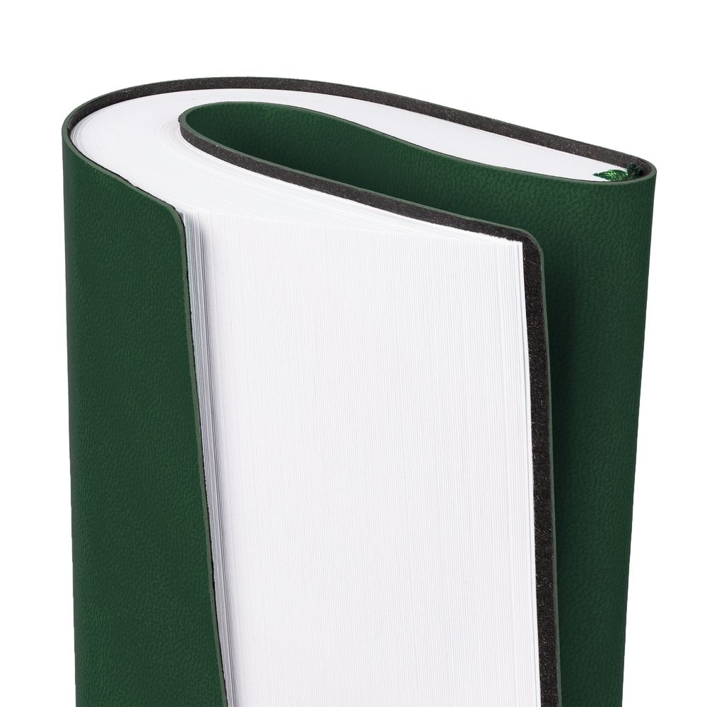 Ежедневник Vivian, недатированный, зеленый-2