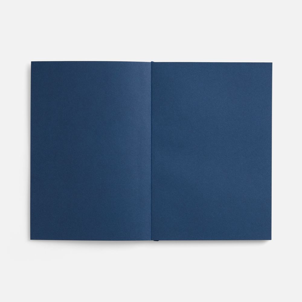 Ежедневник Flat, недатированный, синий, ver.2-3