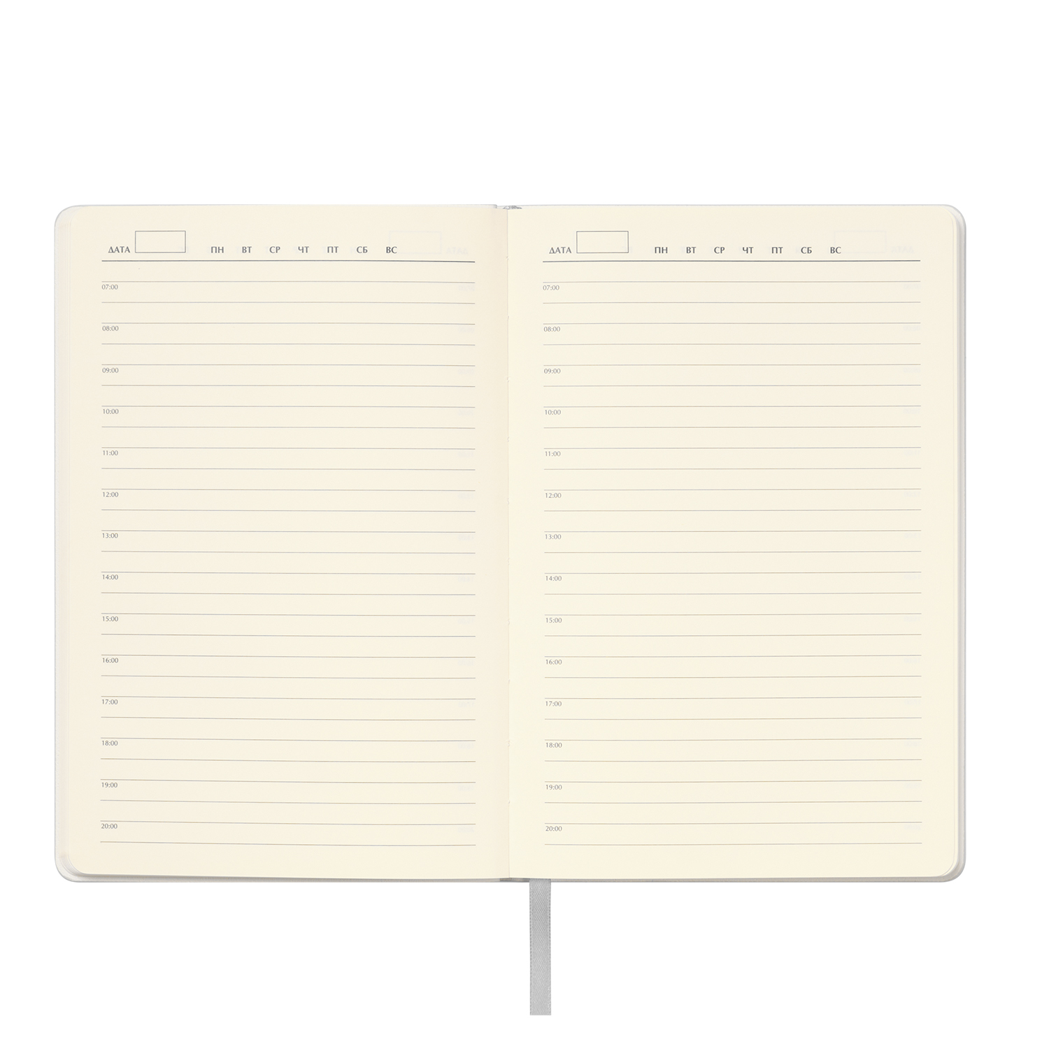 Ежедневник Спарк (Spark) недатированный, серебряный (без упаковки, без стикера)-6