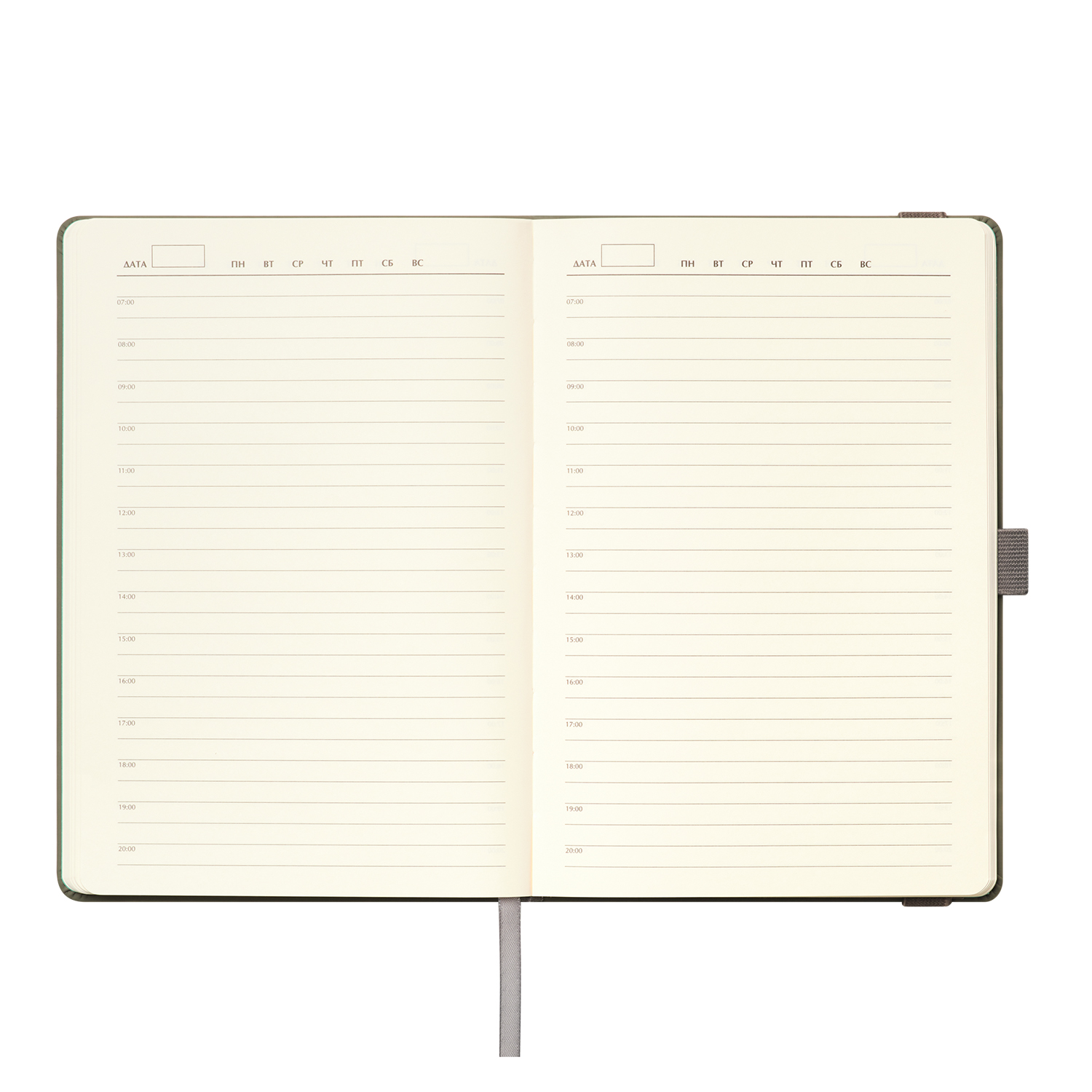 Ежедневник Alpha недатированный, серый/бирюзовый-7