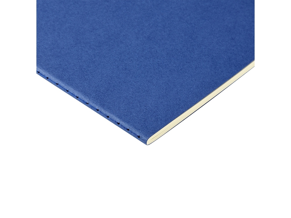 Бизнес-тетрадь А4 Pragmatic,  40л., клетка, синий-2