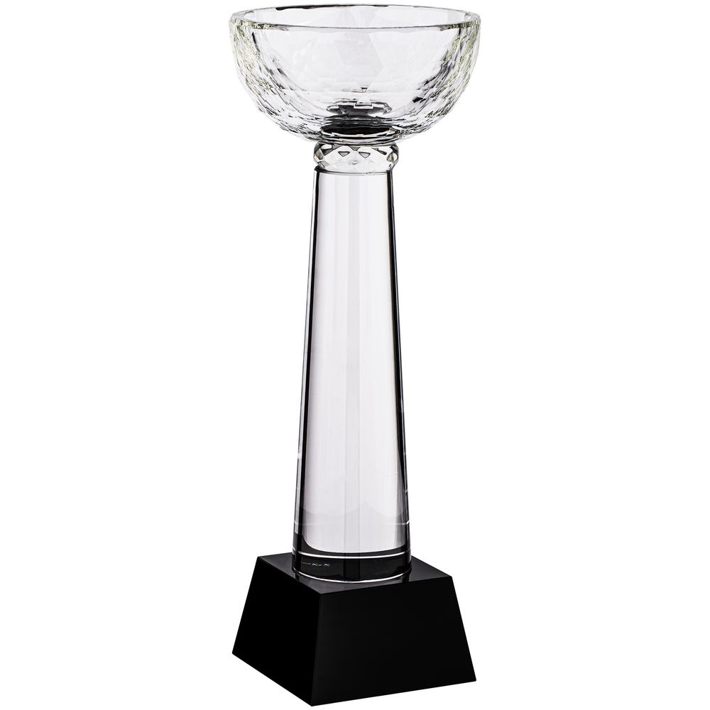 Кубок Cupture, большой-2