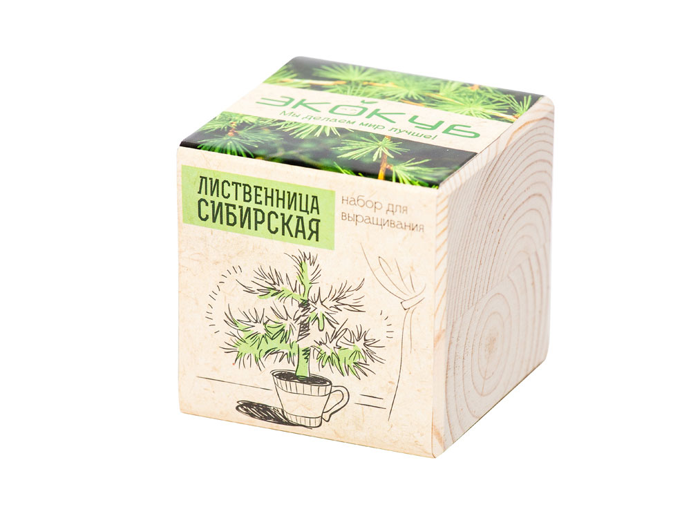 Набор для выращивания Экокуб Classic Лиственница Сибирская-1
