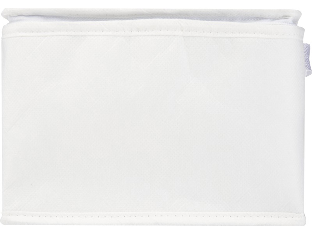 Spectrum нетканая сумка-холодильник, 4 л, на 6 банок, из переработанных материалов, белый-1