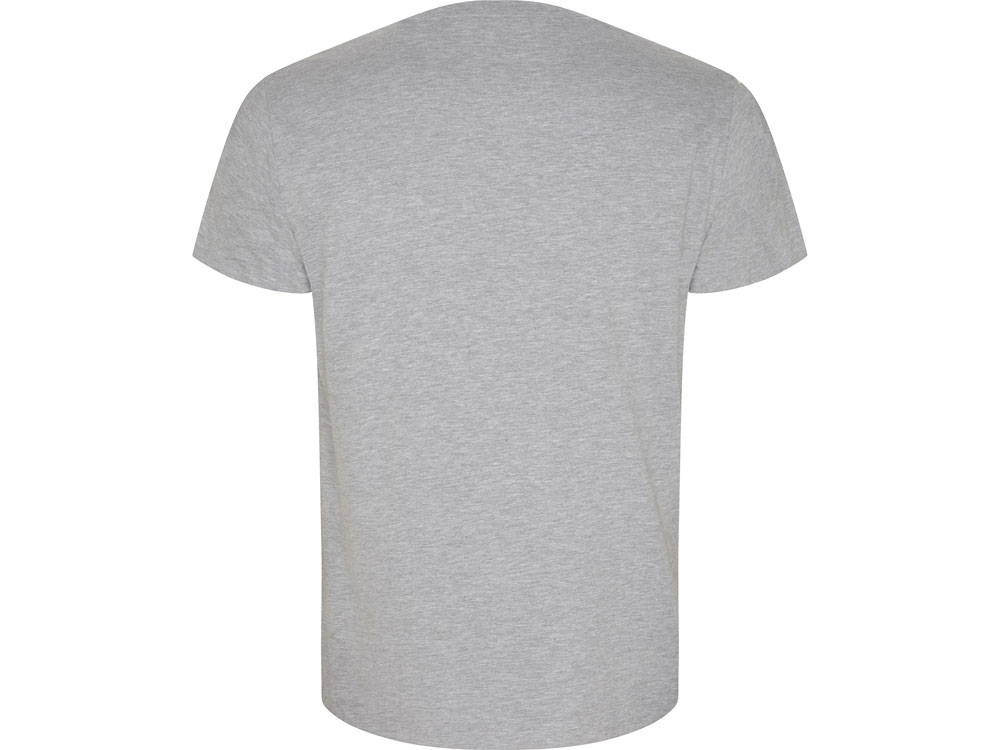 Футболка Golden мужская, серый меланж-1