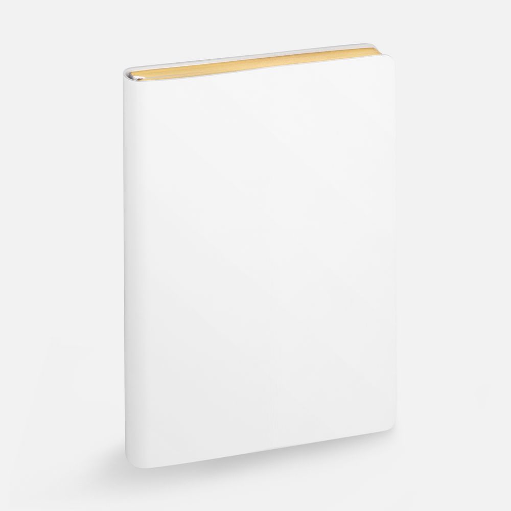 Ежедневник Nebraska Flex, недатированный, белый с золотистым-1