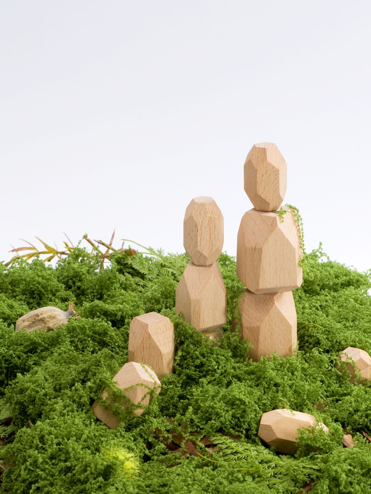 Игра-балансир IQ Balance-3