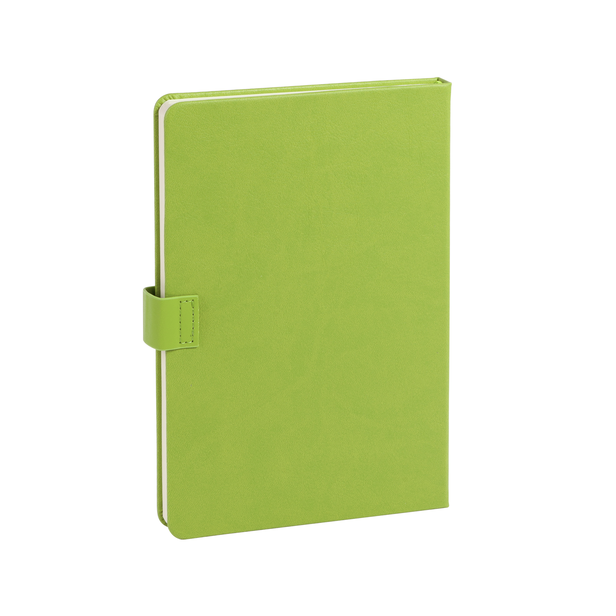 Ежедневник недатированный "Монти", формат А5-2