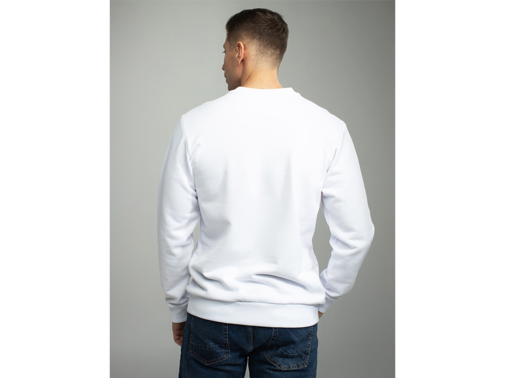 Толстовка втачной рукав. Модель 1 (Футер петлевой) (Размер 46-176, Цвет Белый)-1