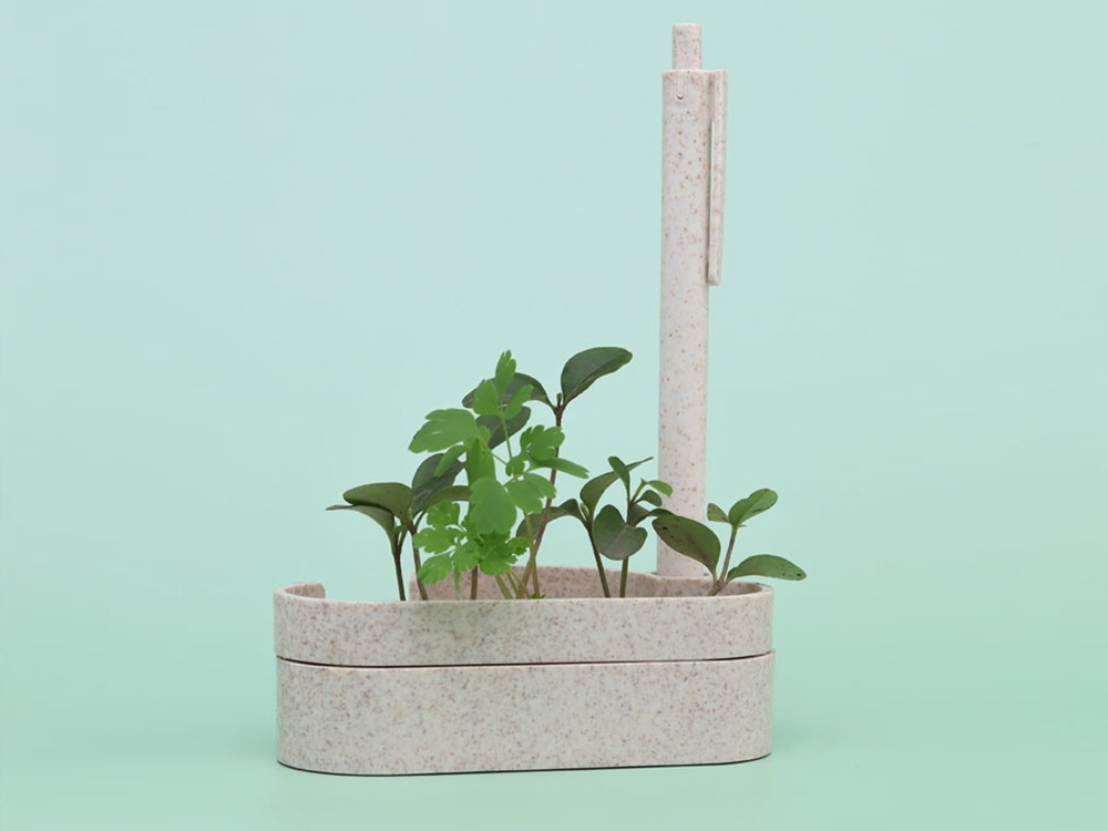 Набор для записей с семенами ромашки Patio-2