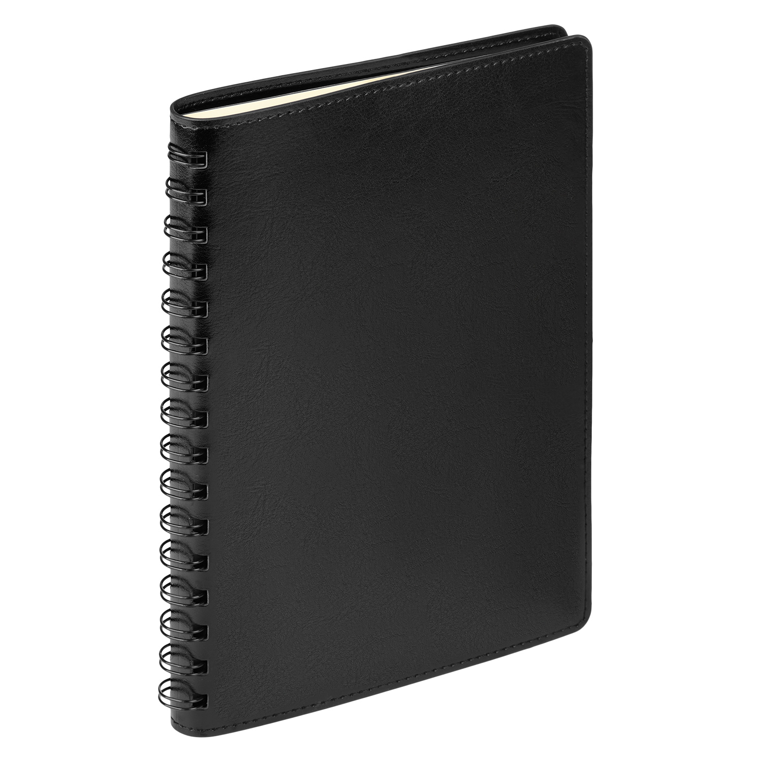 Ежедневник Vista Neo недатированный, черный-4