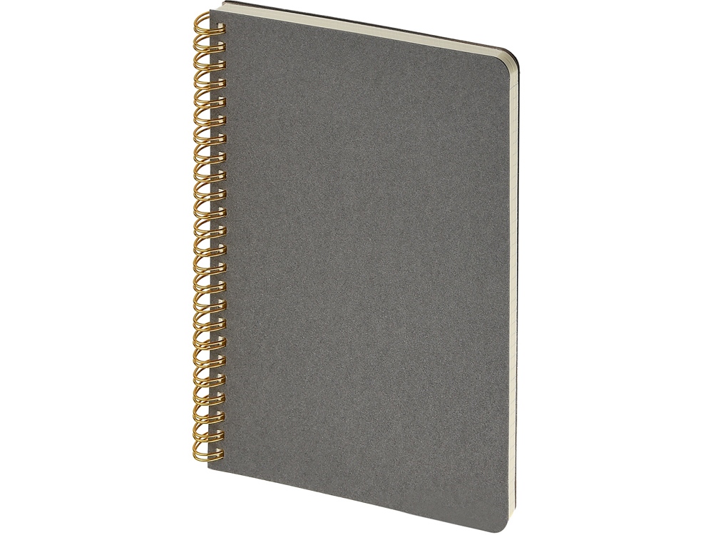 Бизнес тетрадь на гребне А5 Pragmatic, 60 листов в клетку, серый-0