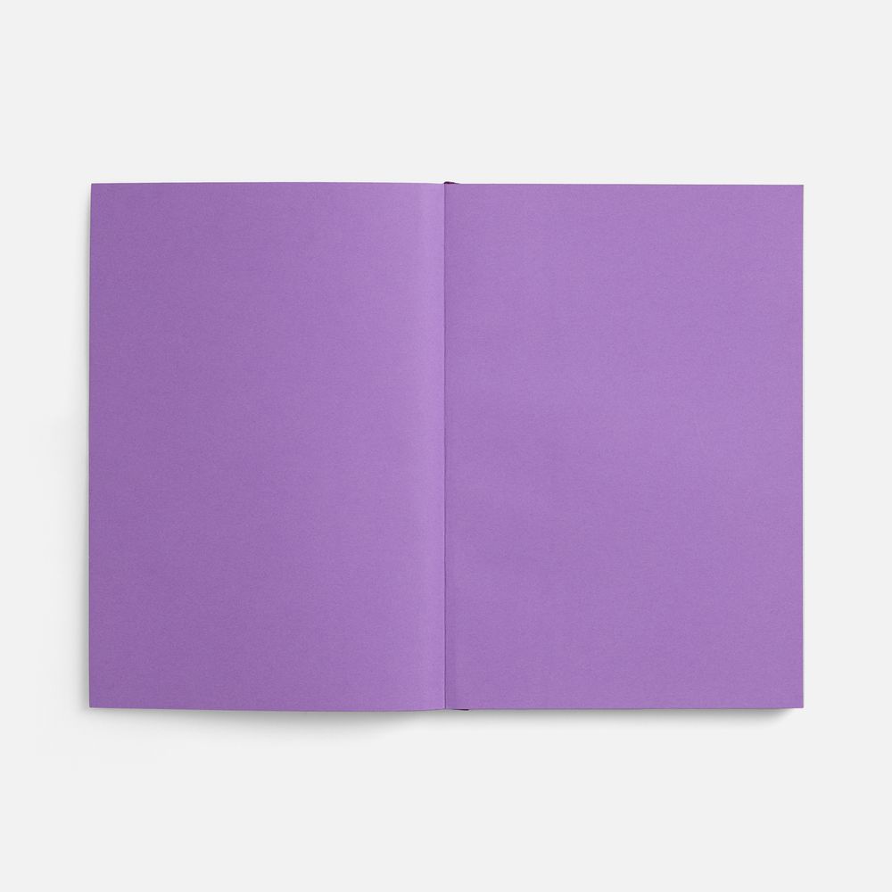 Ежедневник Flat, недатированный, фиолетовый, ver.2-4