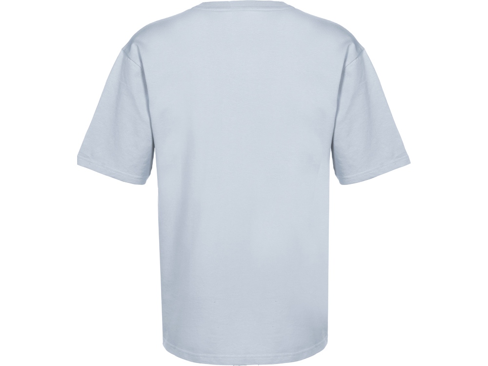 Футболка из френч терри Warsaw унисекс 220гр, небесно-голубой-9