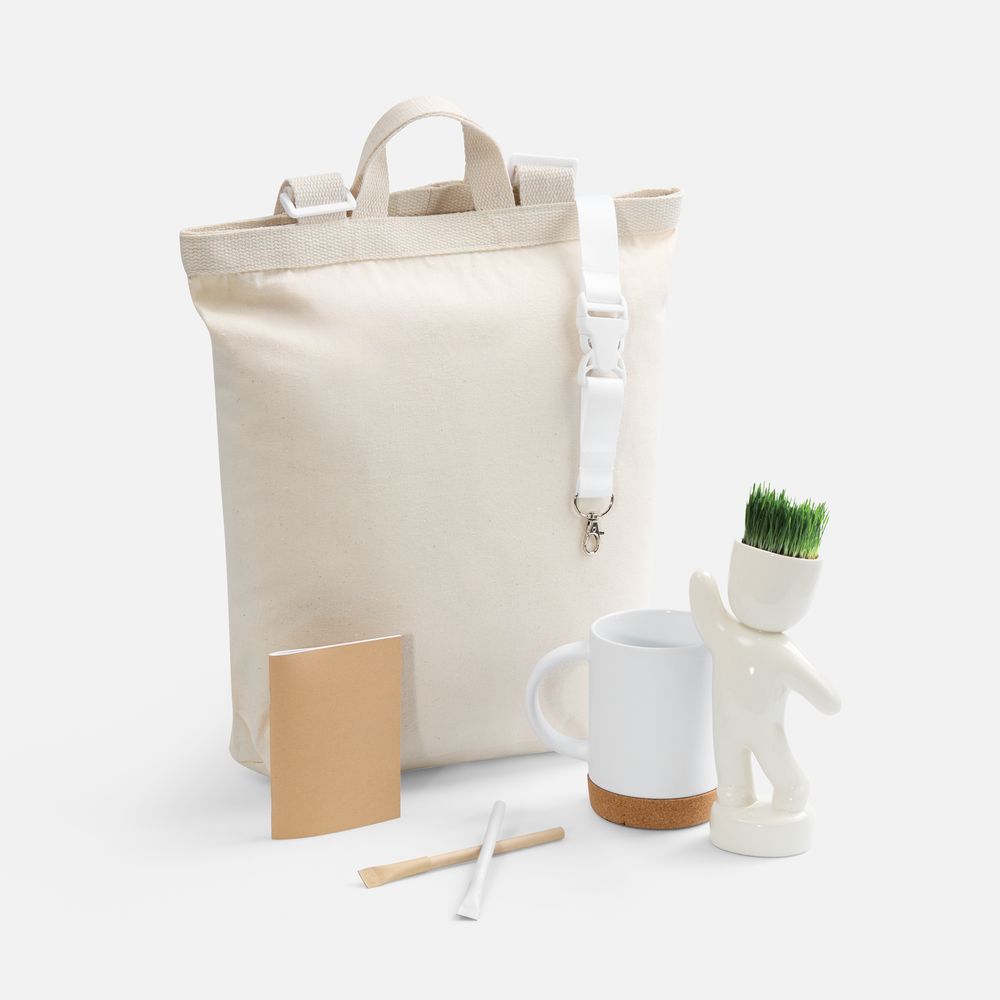 Набор Eco Sapiens Buddy-0