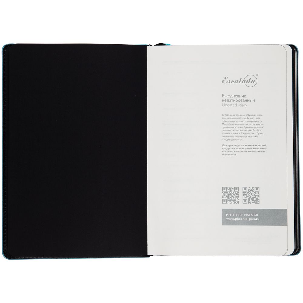 Ежедневник Alanis, недатированный, черный с голубым-3